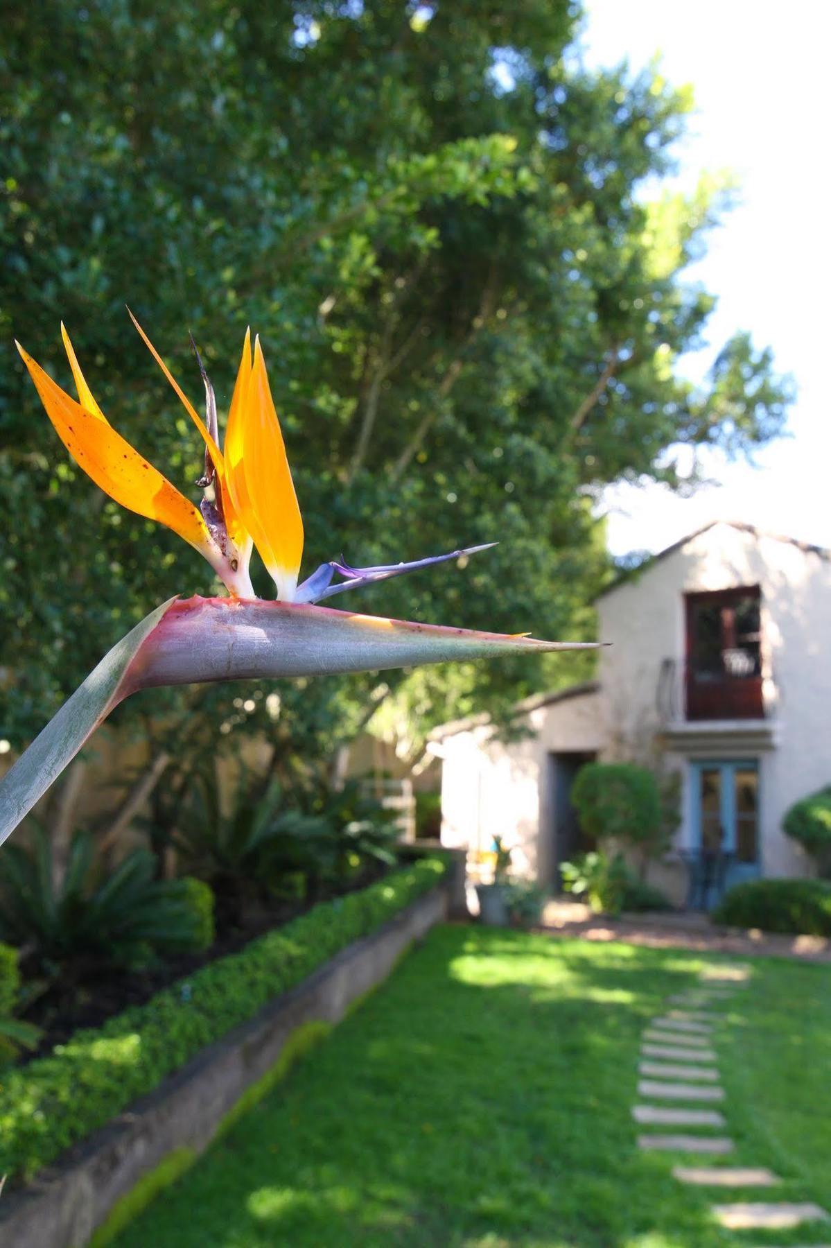Babette Bed And Breakfast Swellendam Zewnętrze zdjęcie