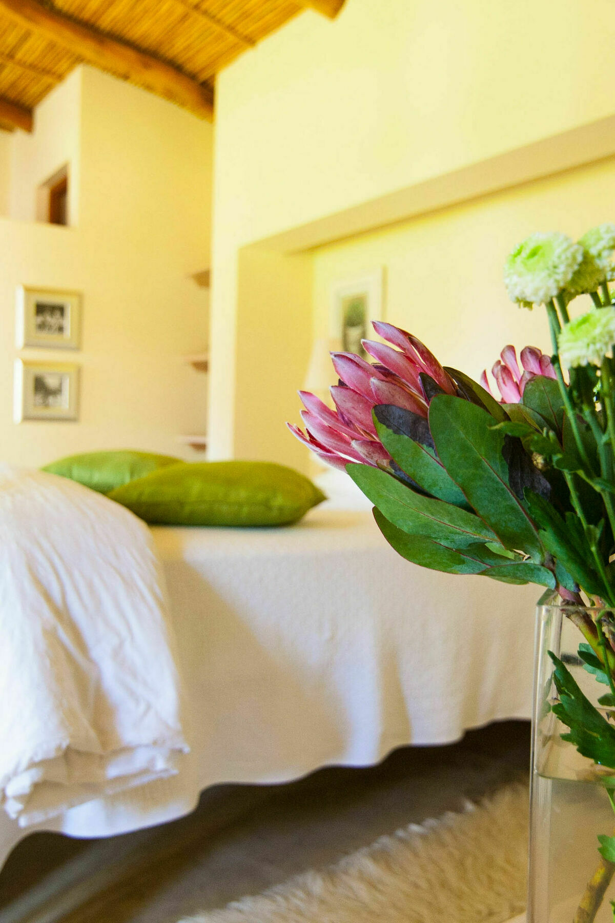 Babette Bed And Breakfast Swellendam Zewnętrze zdjęcie